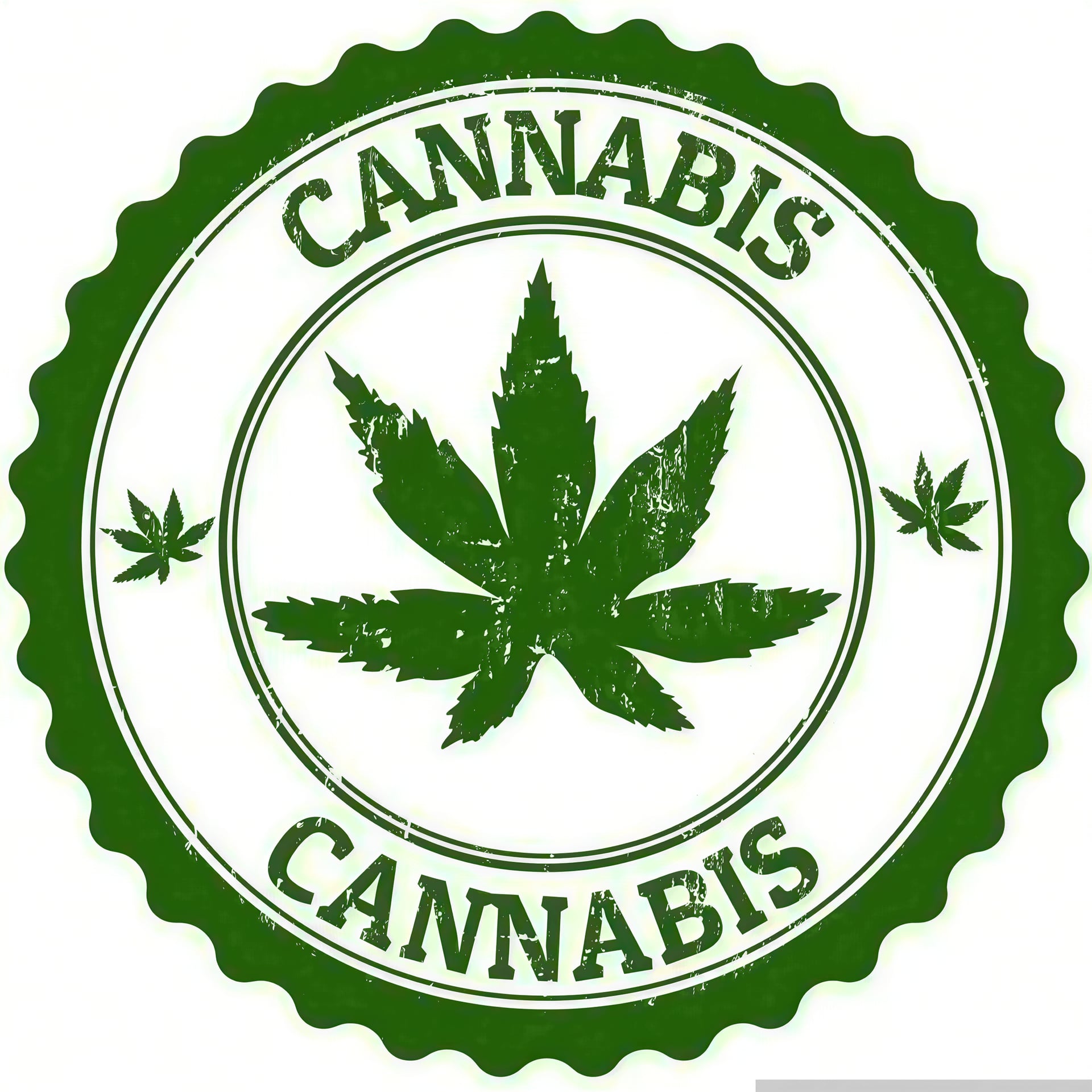 Cannabis Social Club SkyWeed logo